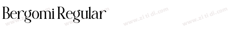 Bergomi Regular字体转换